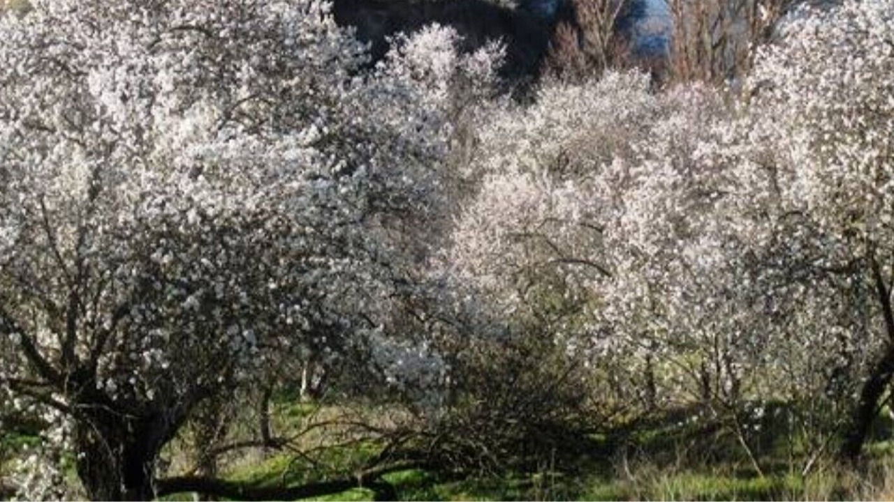 Photo of Outdoor in Castronuno