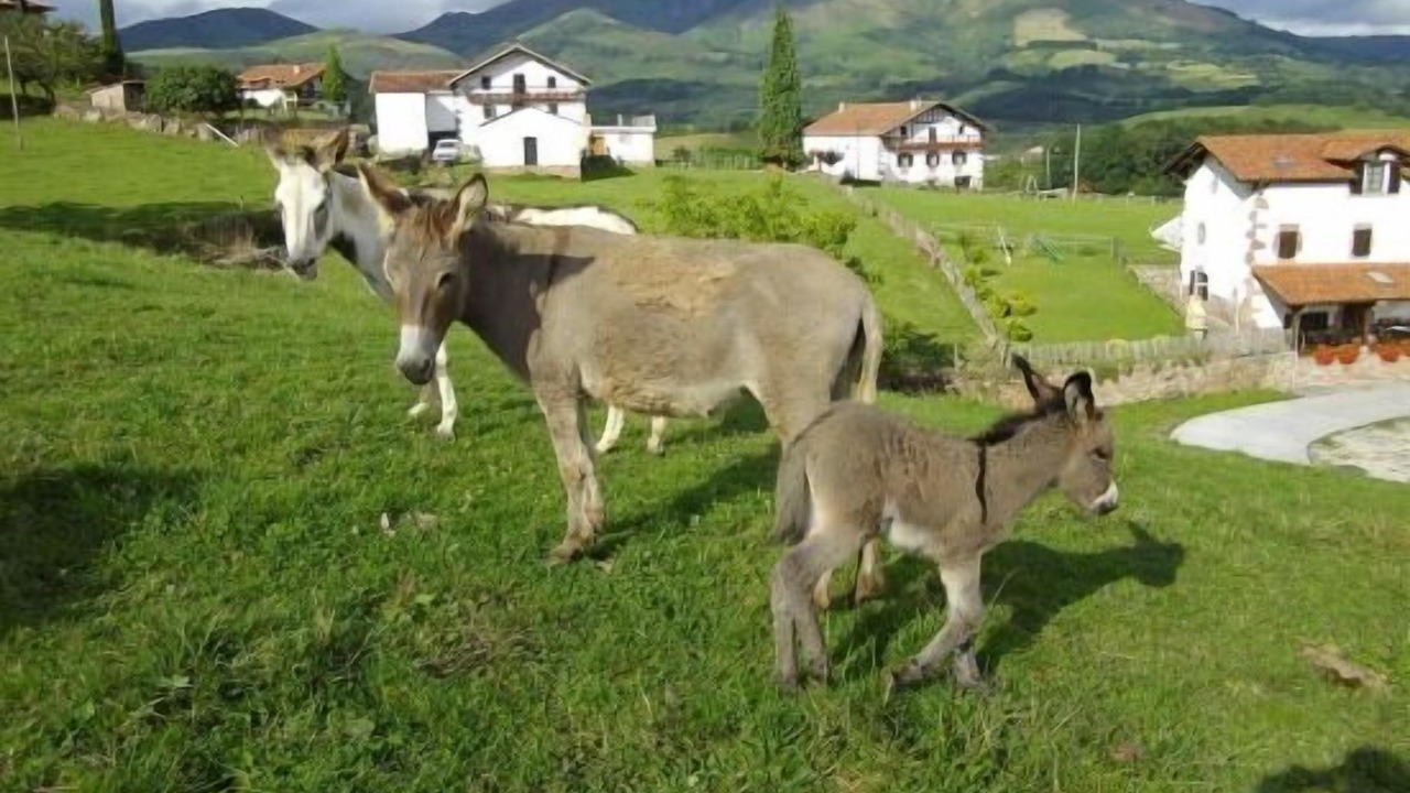 Photo of Outdoor in Azpilkueta