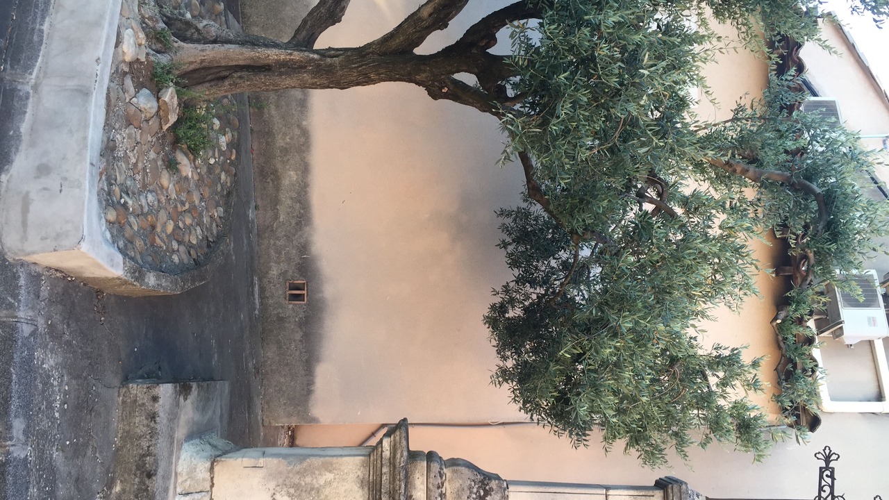 Photo of Outdoor in Vedene