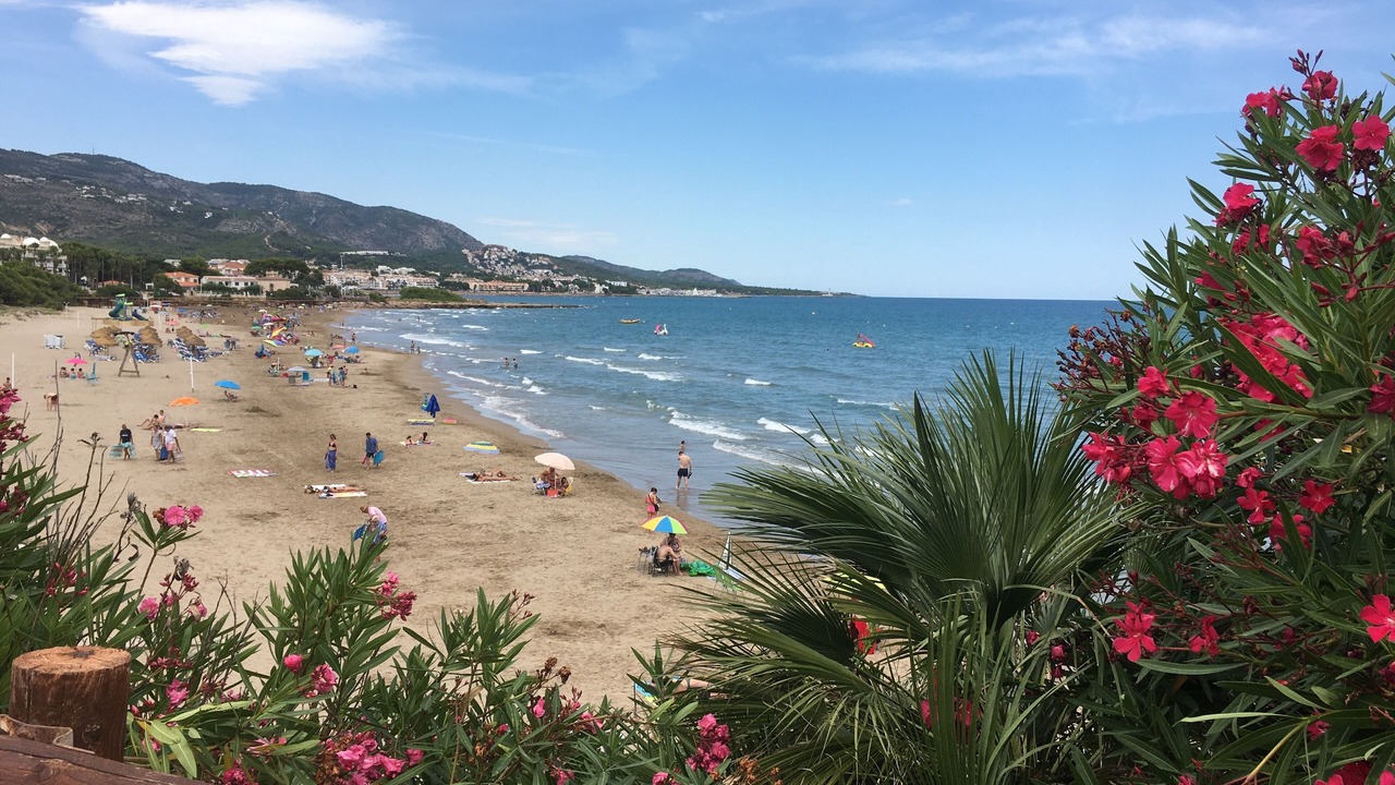 Photo of Others in Alcossebre