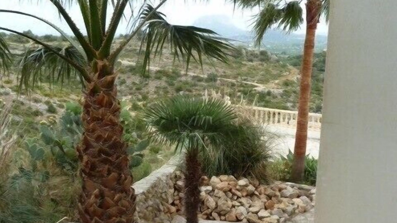 Photo of Outdoor in Sanet y Negrals
