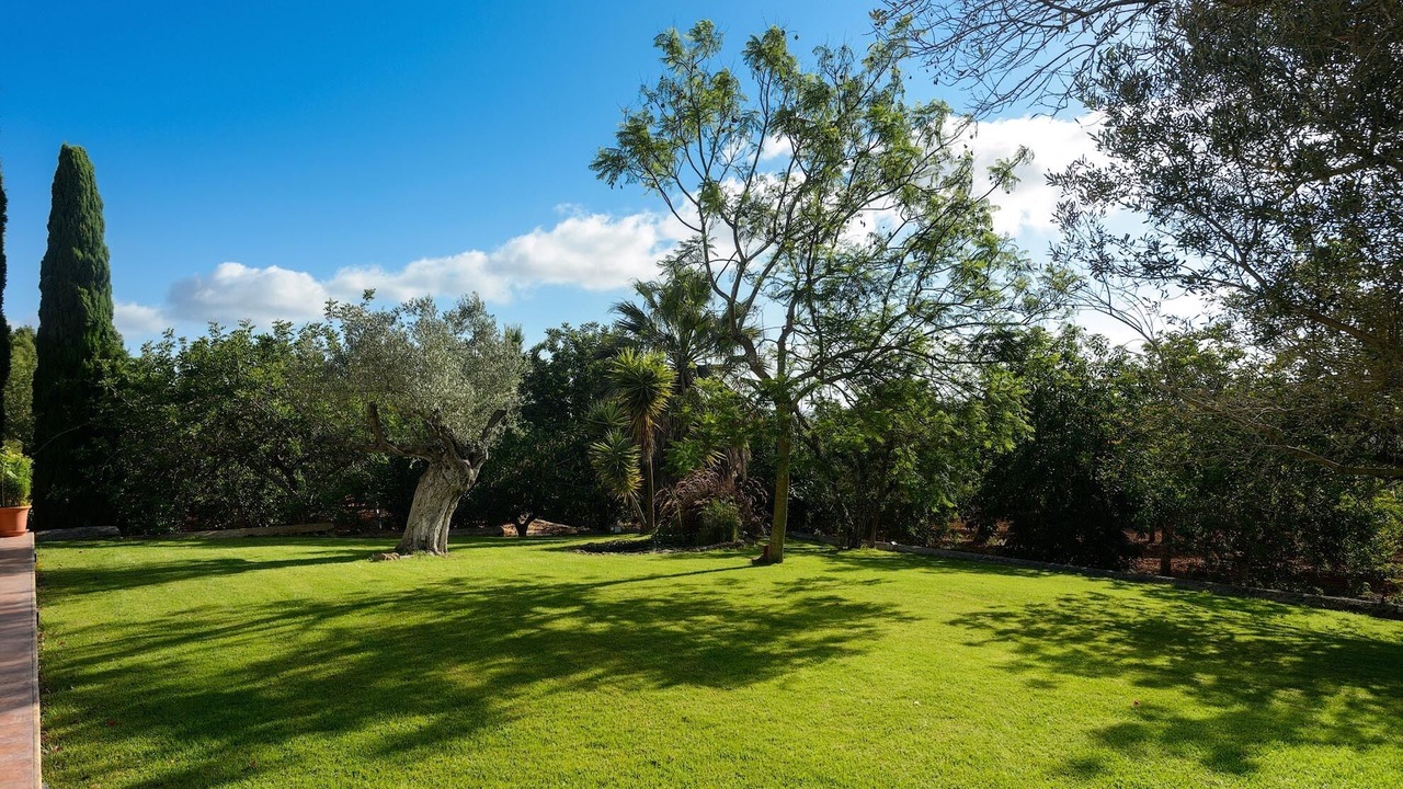 Photo of Outdoor in Santa Gertrudis