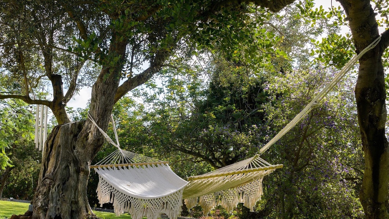 Photo of Outdoor in Santa Gertrudis