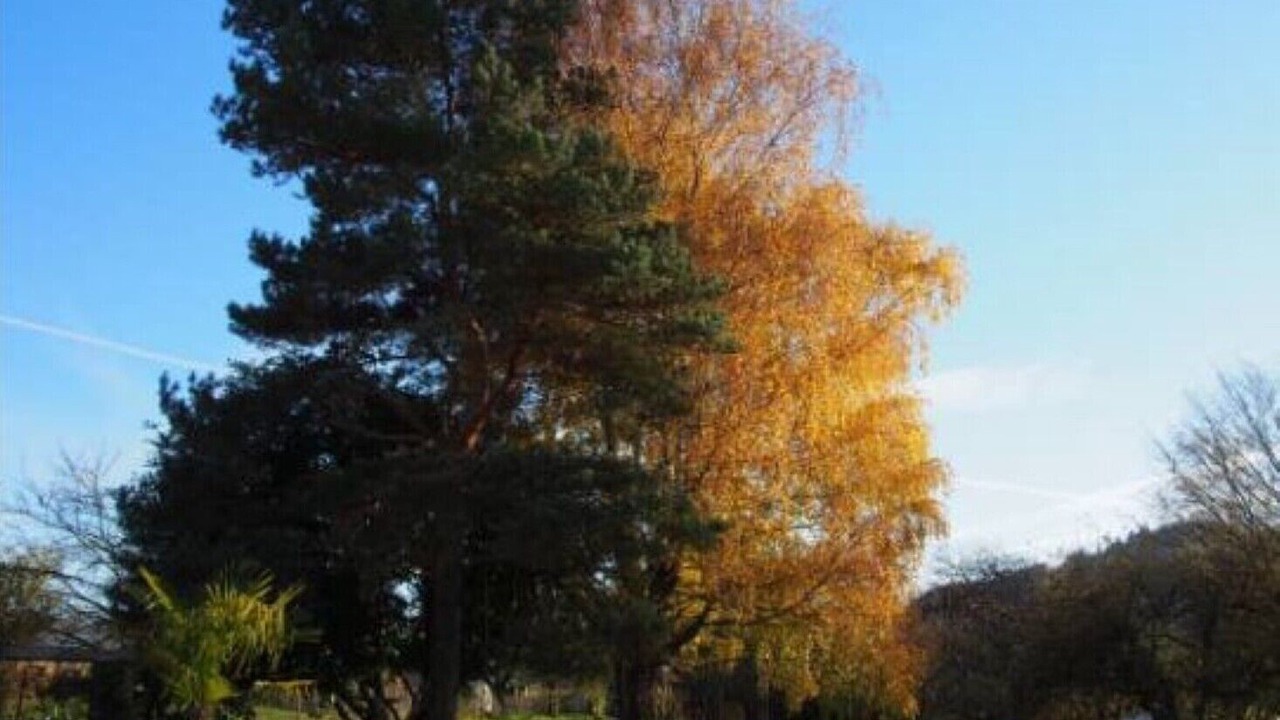 Photo of Outdoor in Saint-Lothain