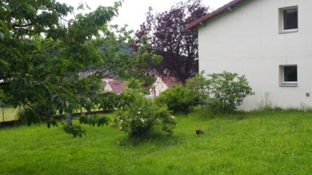 Photo of Outdoor in Saint-Lothain
