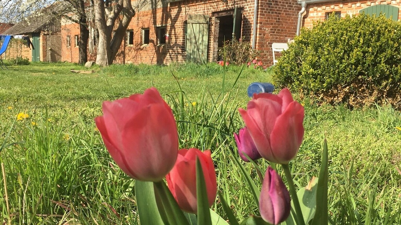 Photo of Outdoor in Abbendorf