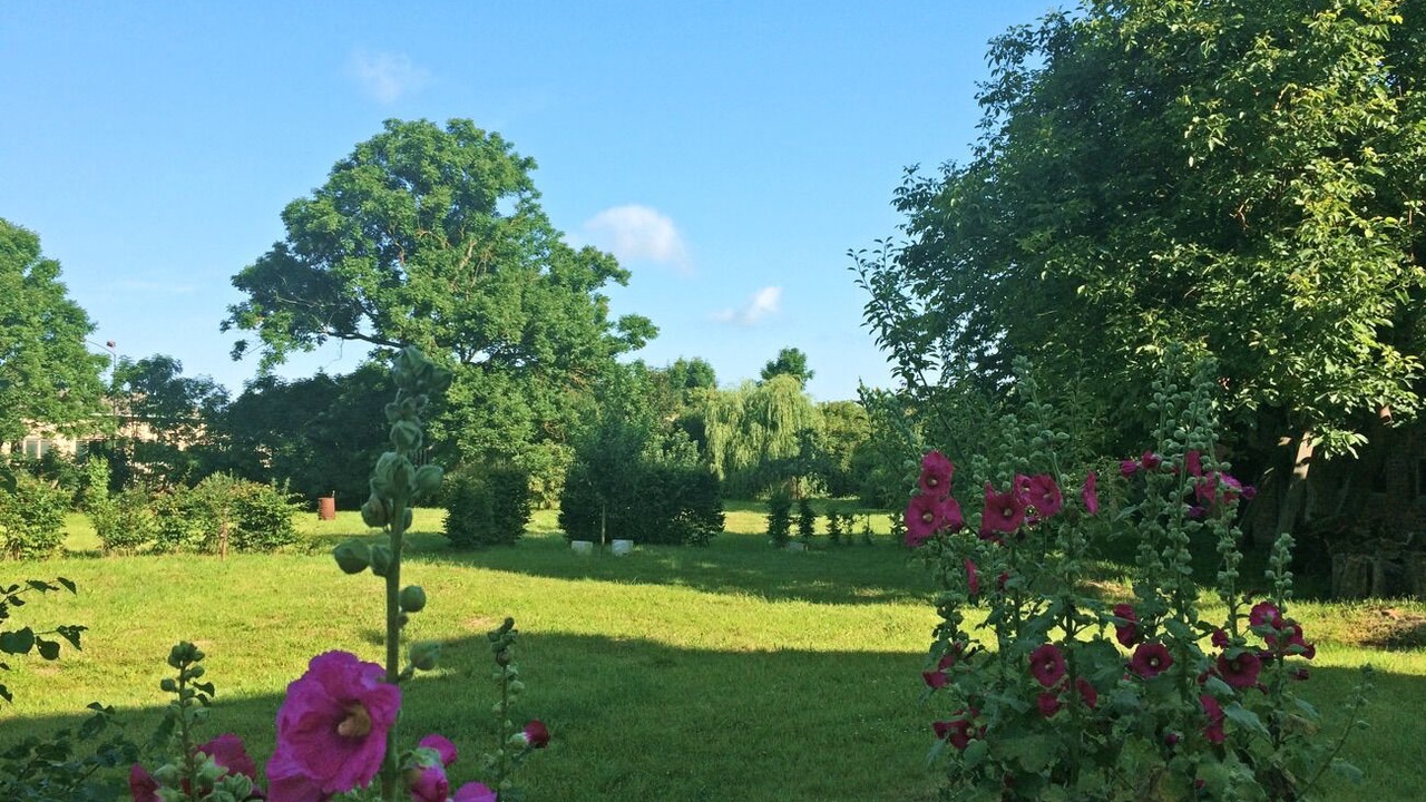 Photo of Outdoor in Abbendorf
