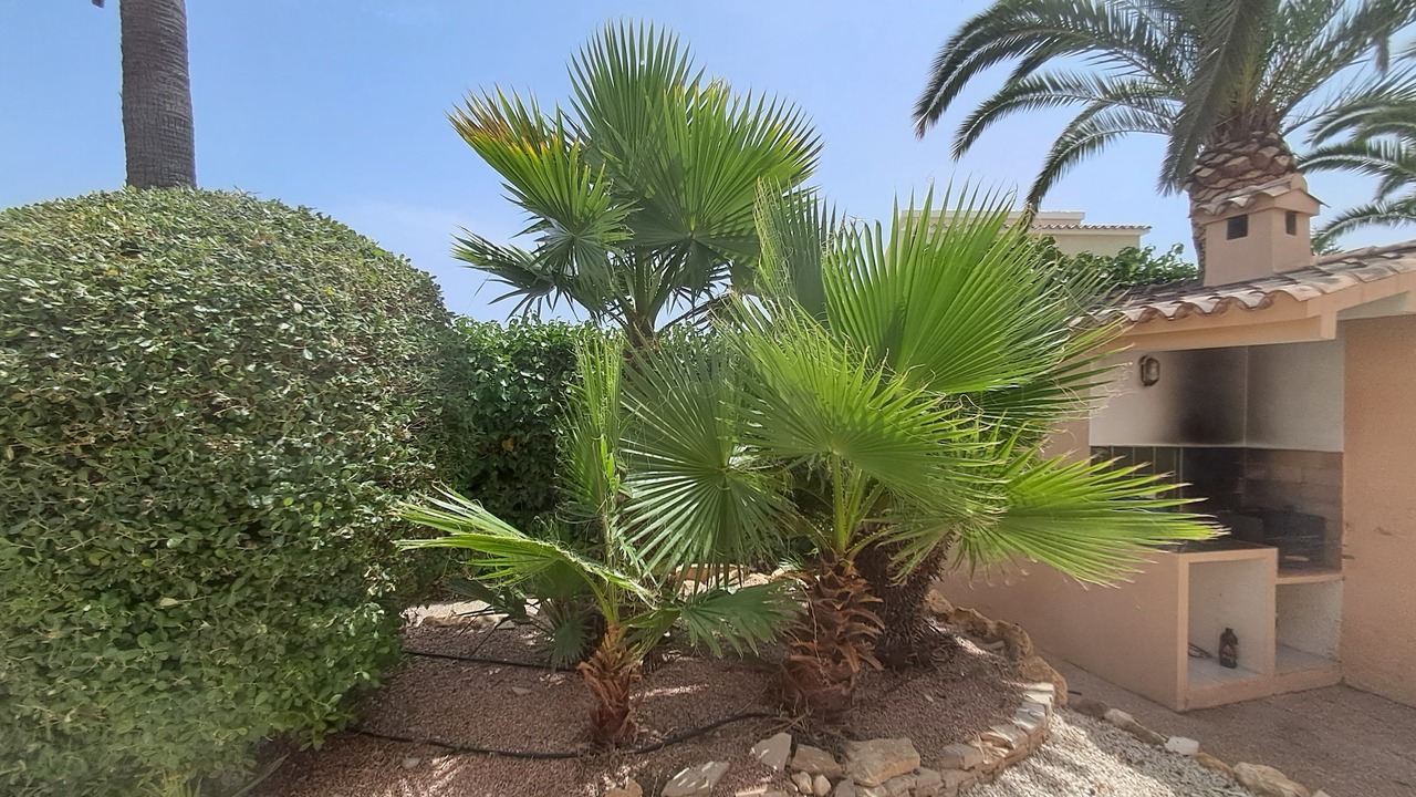 Photo of Outdoor in La Sabatera
