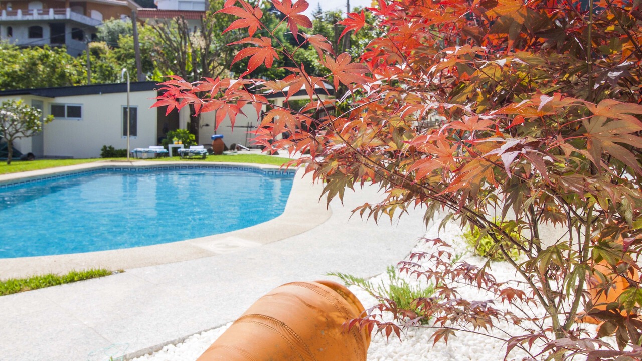 Photo of Outdoor in Saians