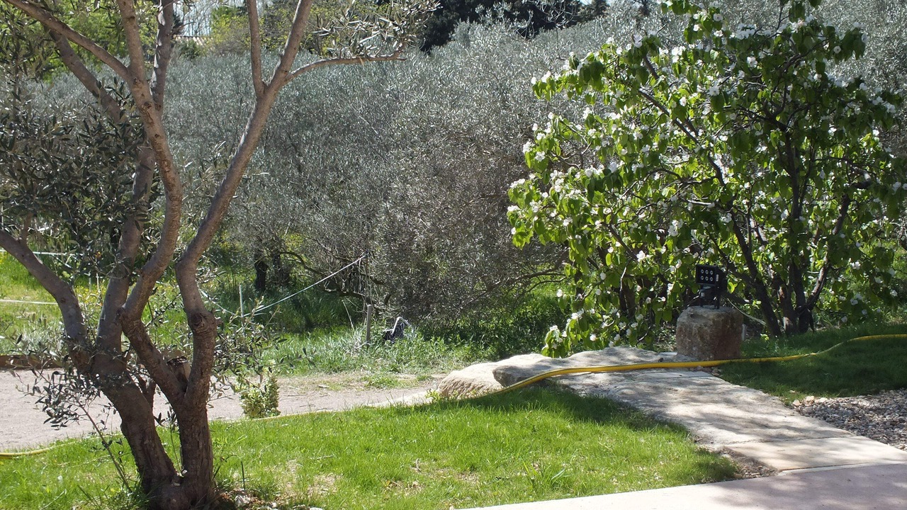 Photo of Outdoor in Paradou