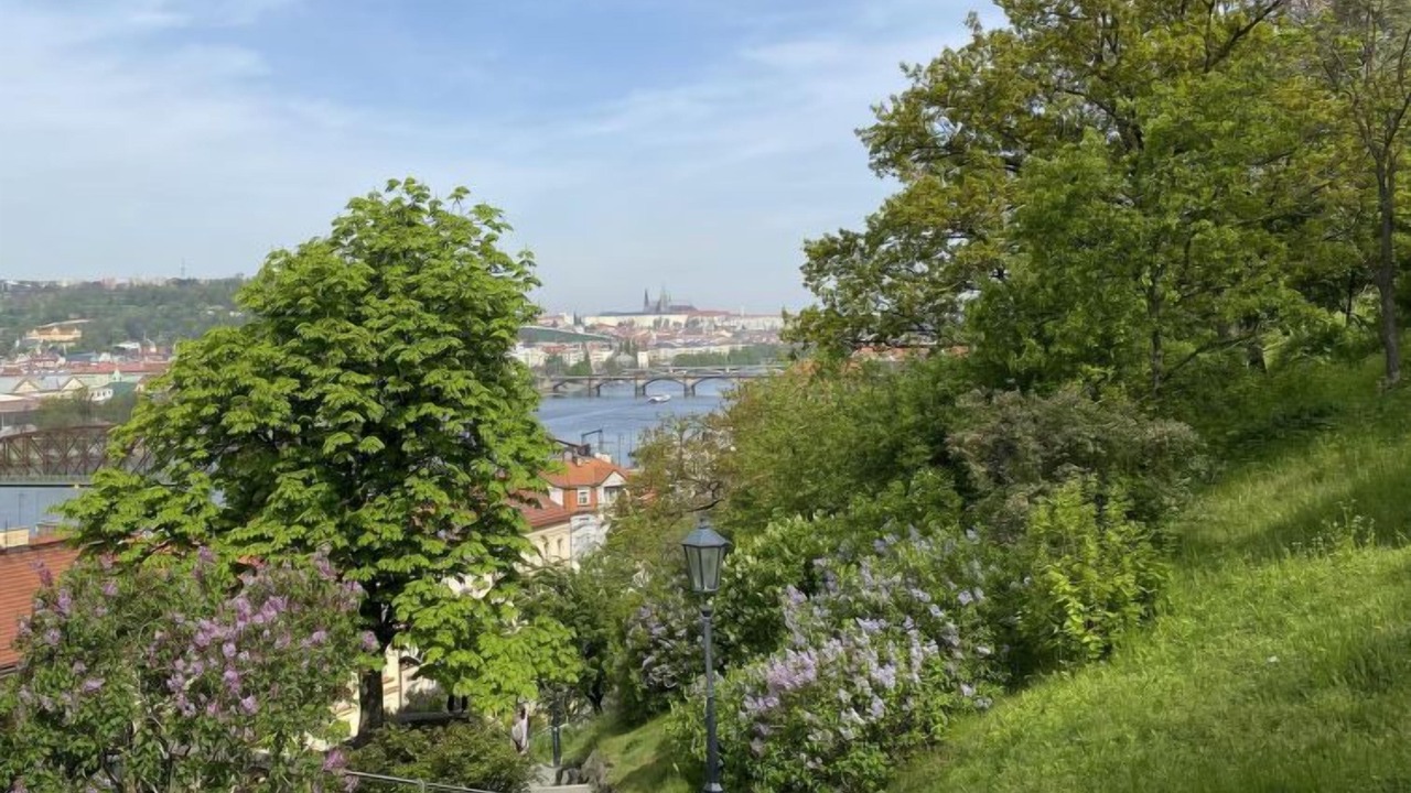 Photo of Others in Prague 10