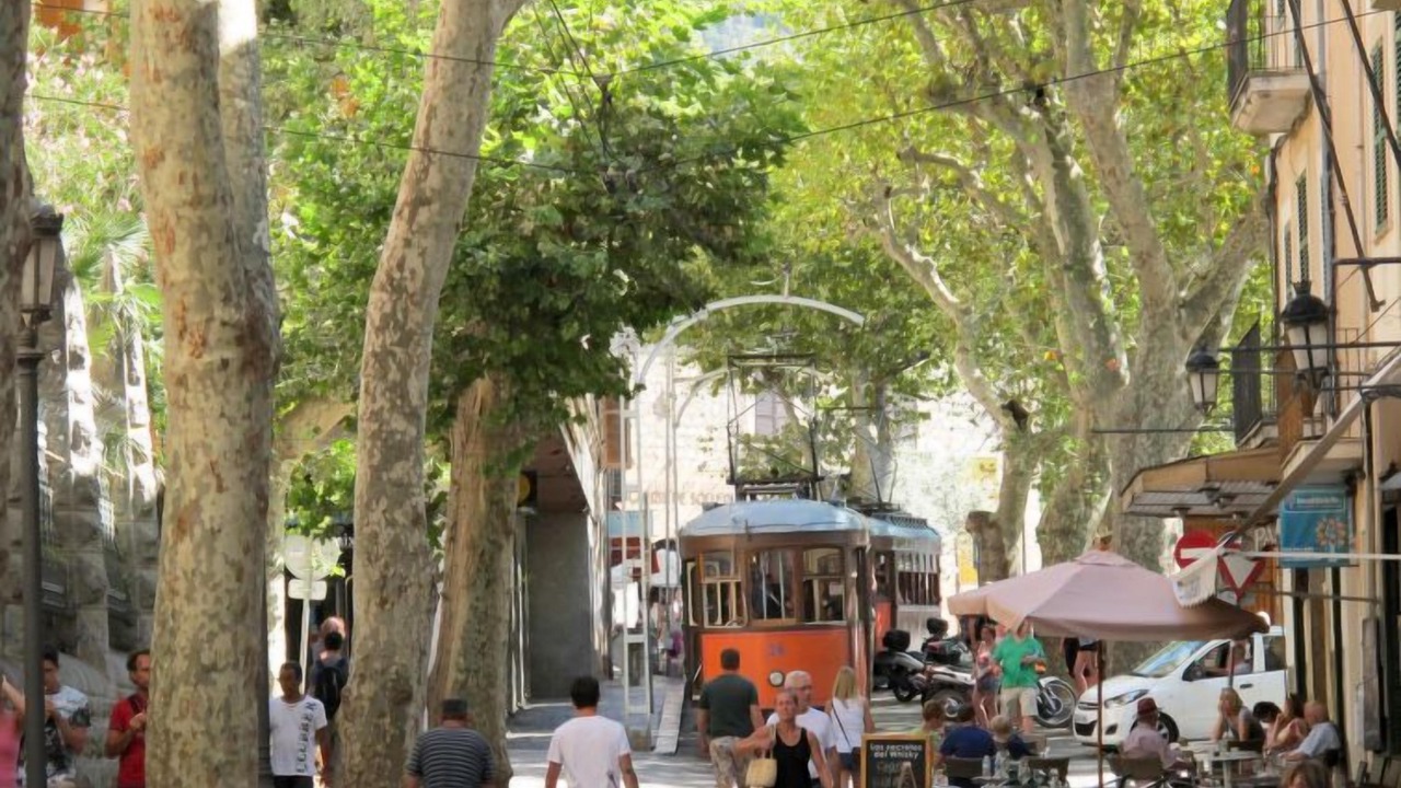Photo of Outdoor in Soller