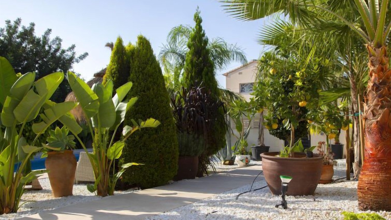 Photo of Outdoor in Casas de Torrat