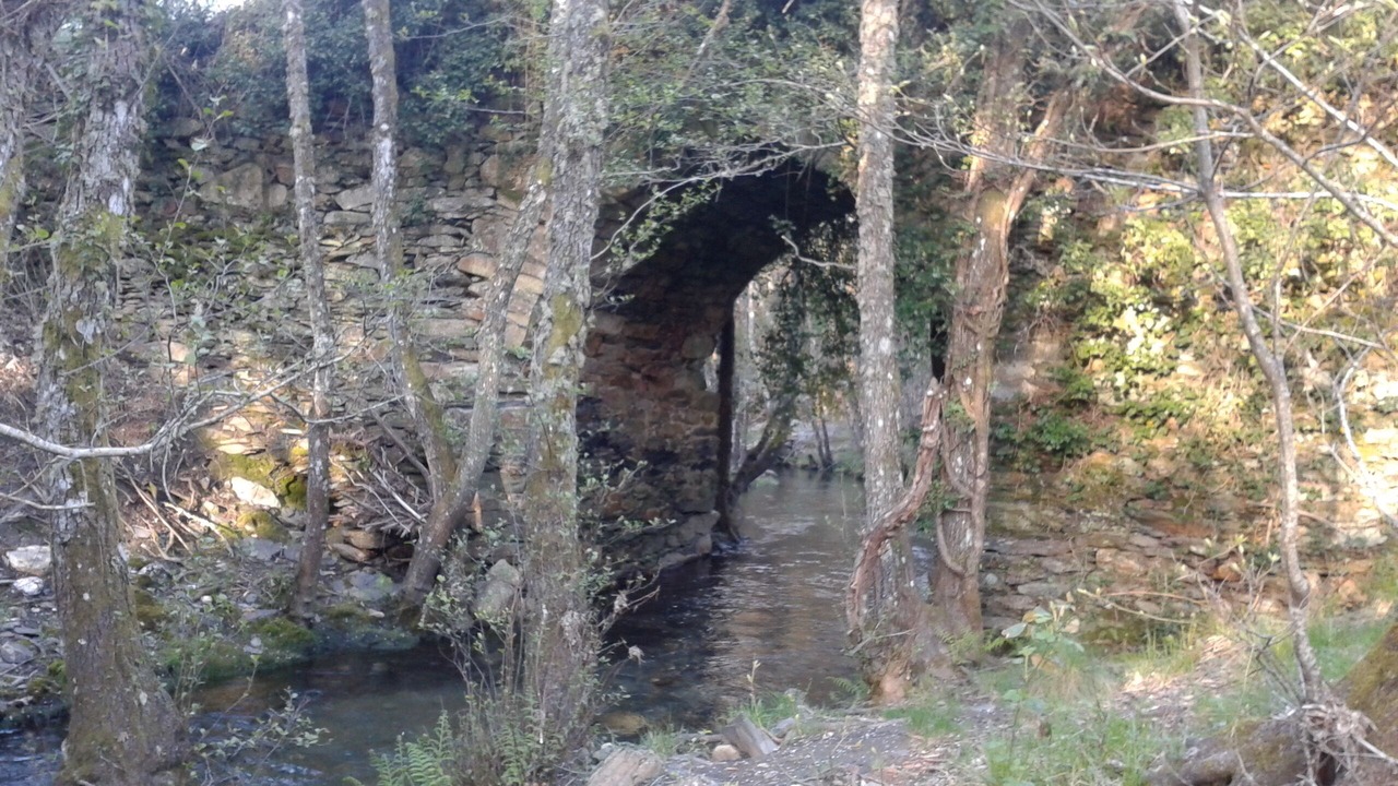 Photo of Outdoor in Santa Cruz de los Cuerragos