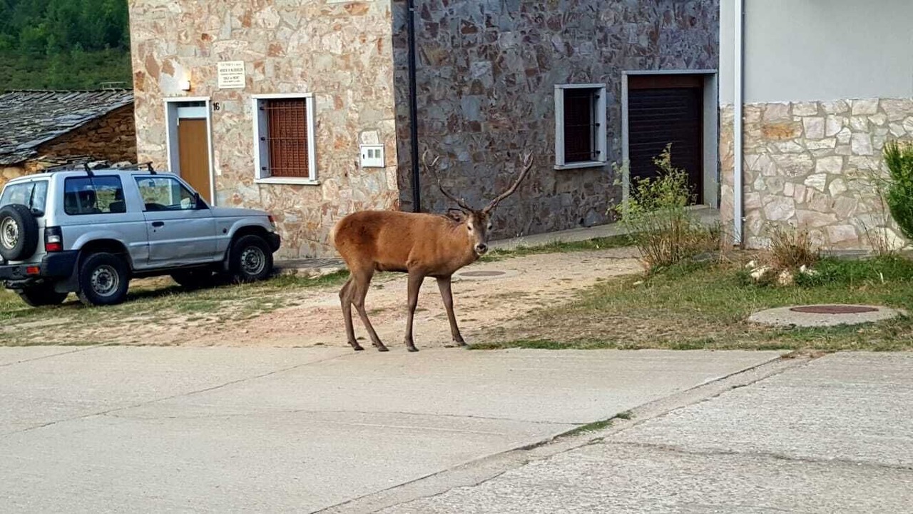 Photo of Outdoor in Santa Cruz de los Cuerragos
