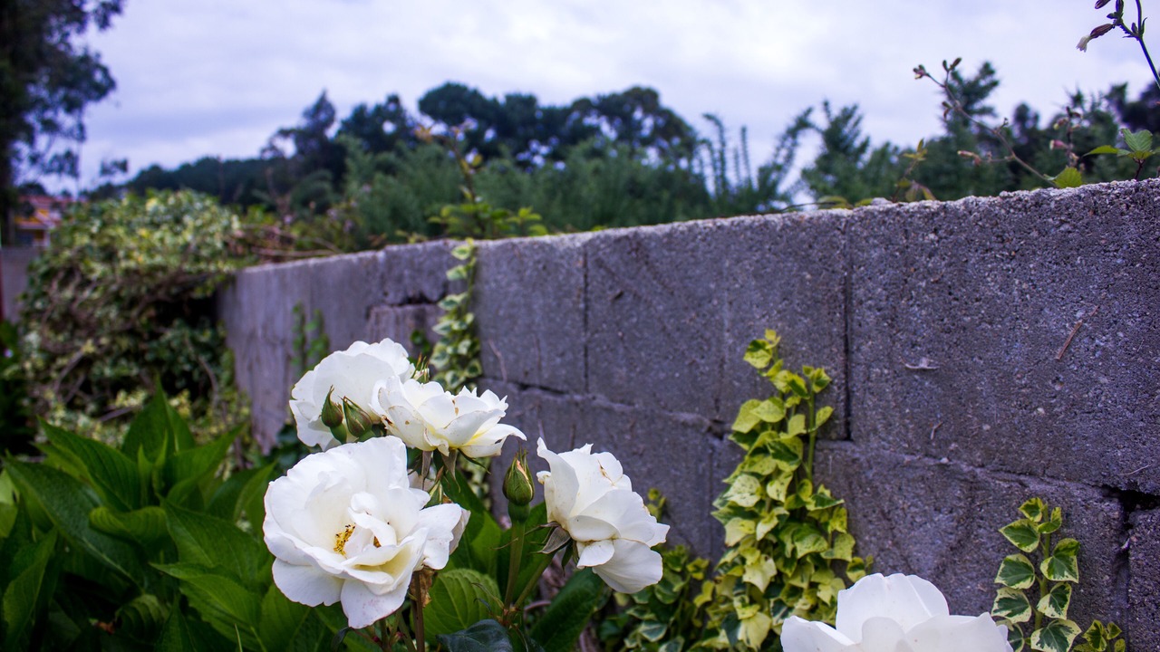 Photo of Outdoor in Carballo