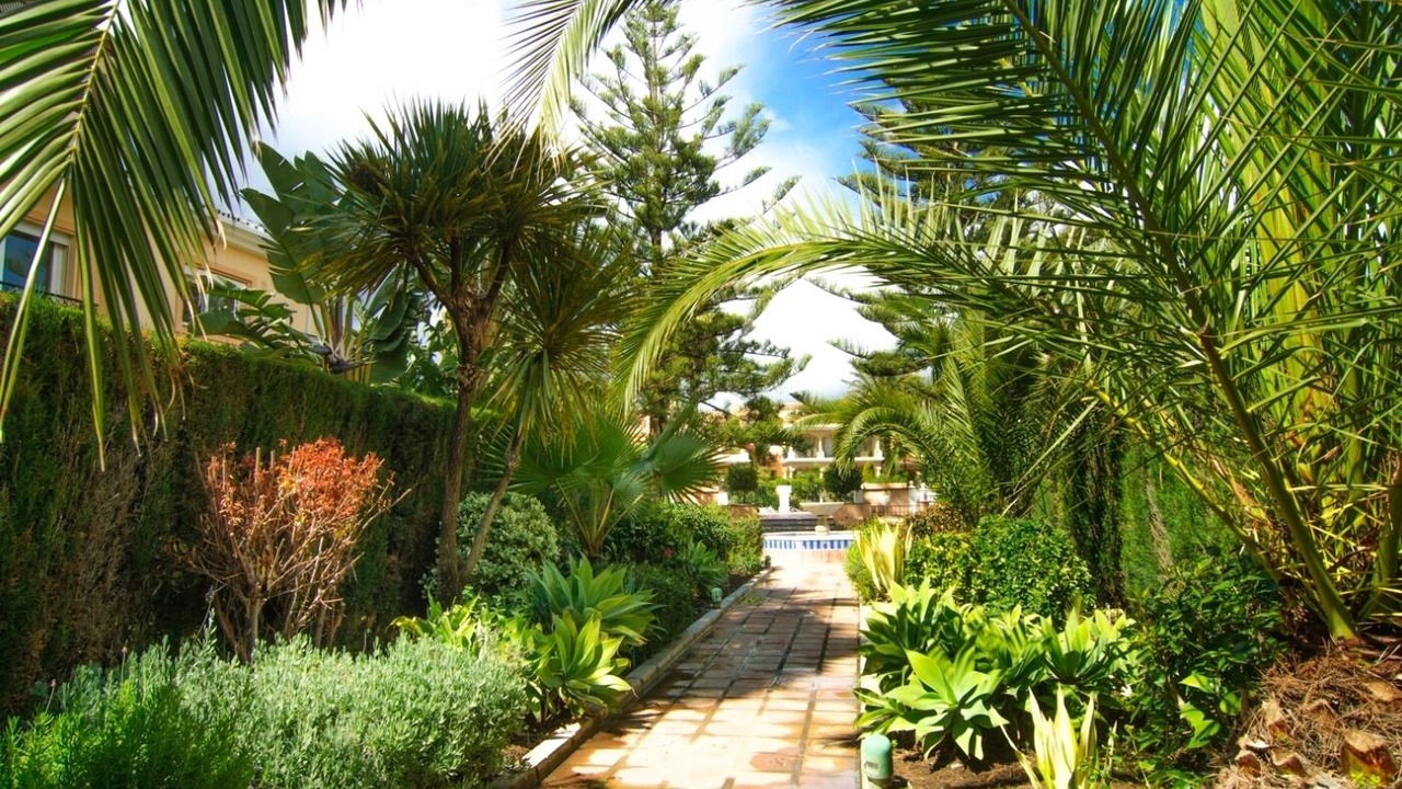 Photo of Outdoor in New Golden Mile