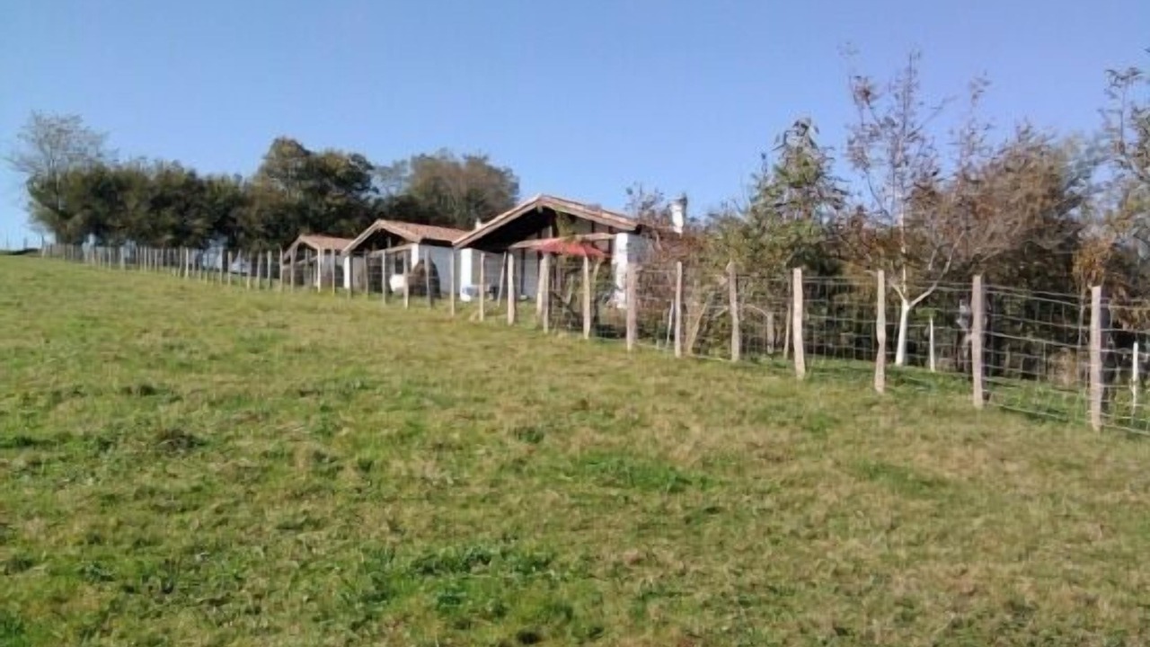 Photo of Outdoor in Dantxarinea