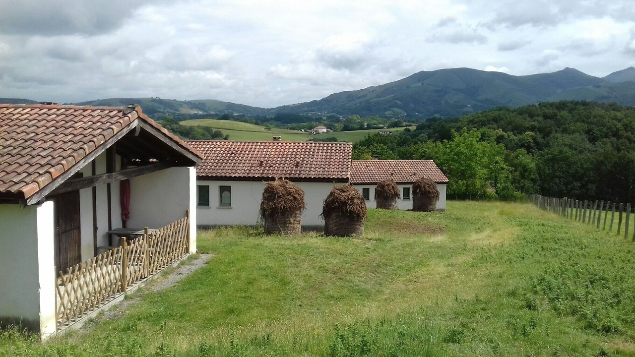 Photo of Outdoor in Dantxarinea