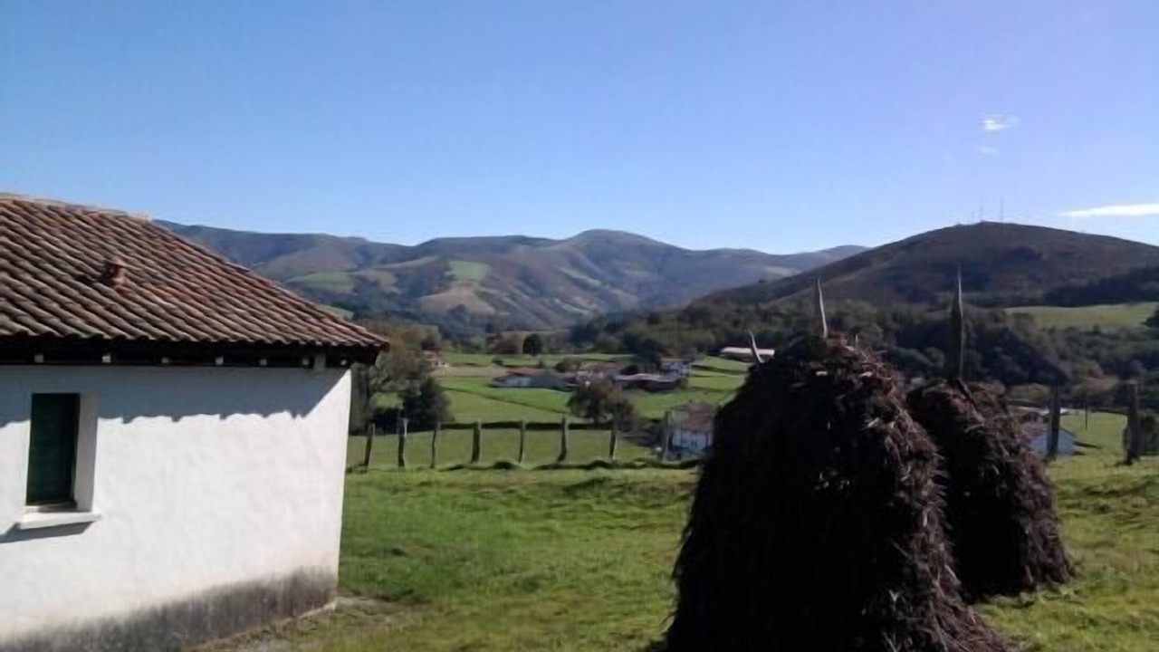 Photo of Outdoor in Dantxarinea