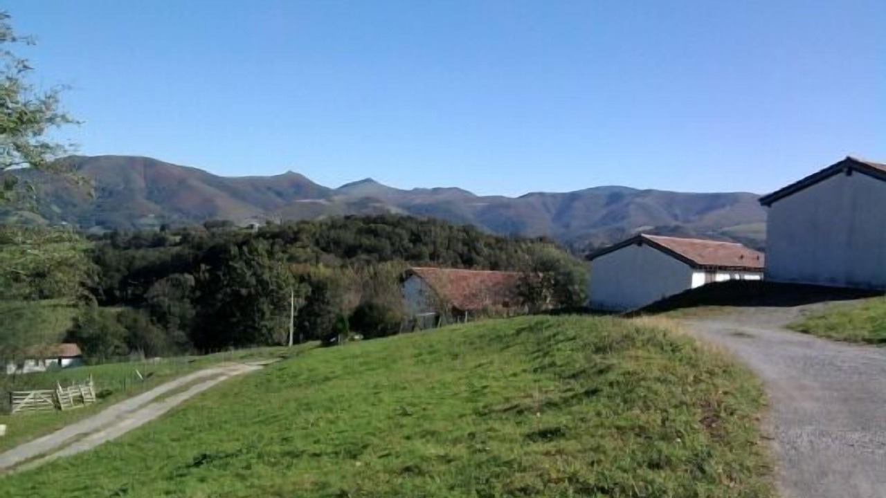 Photo of Others in Dantxarinea