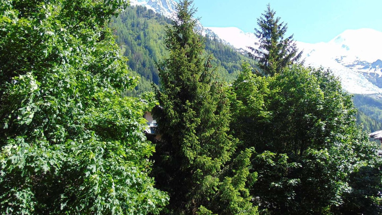 Photo of Others in Chamonix City Centre