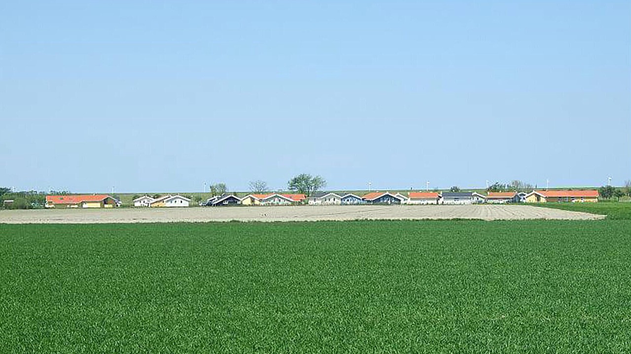 Photo of Others in Friedrichskoog
