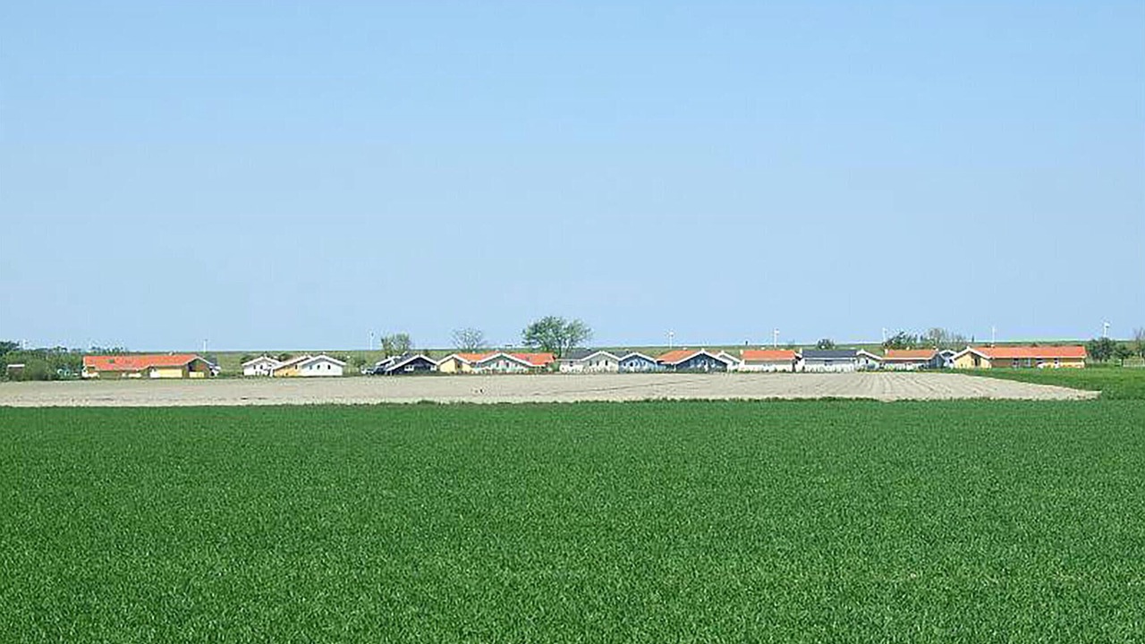 Photo of Others in Friedrichskoog