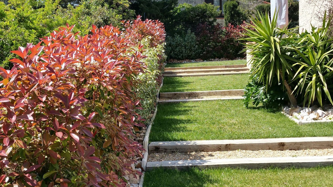 Photo of Outdoor in Carnoux-en-Provence