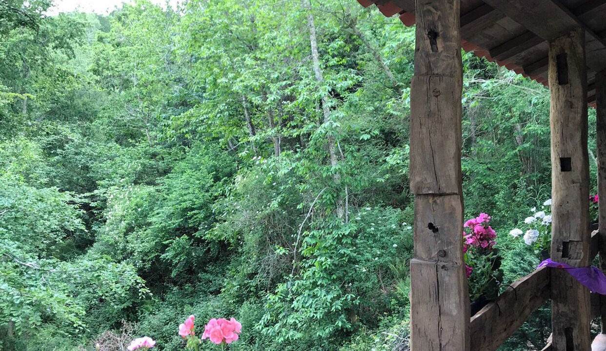 Photo of Outdoor in Carabano