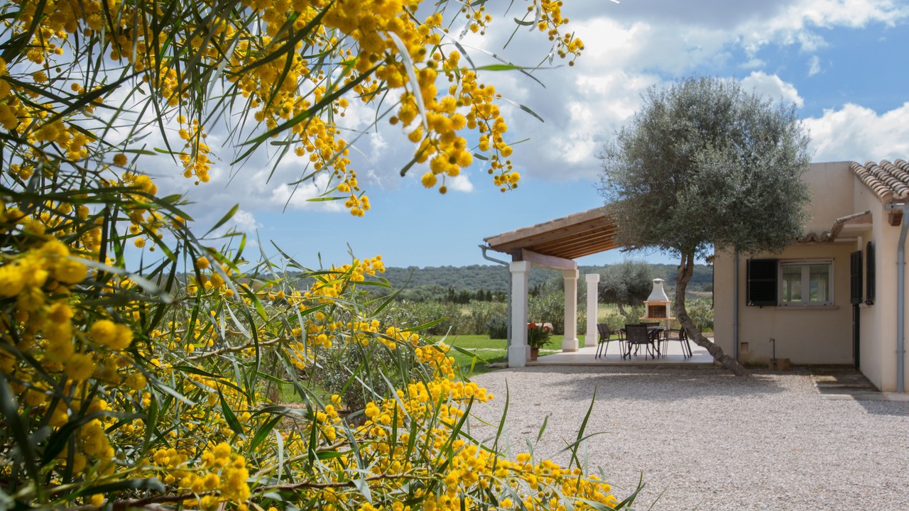 Photo of Patio Balcony in Campos