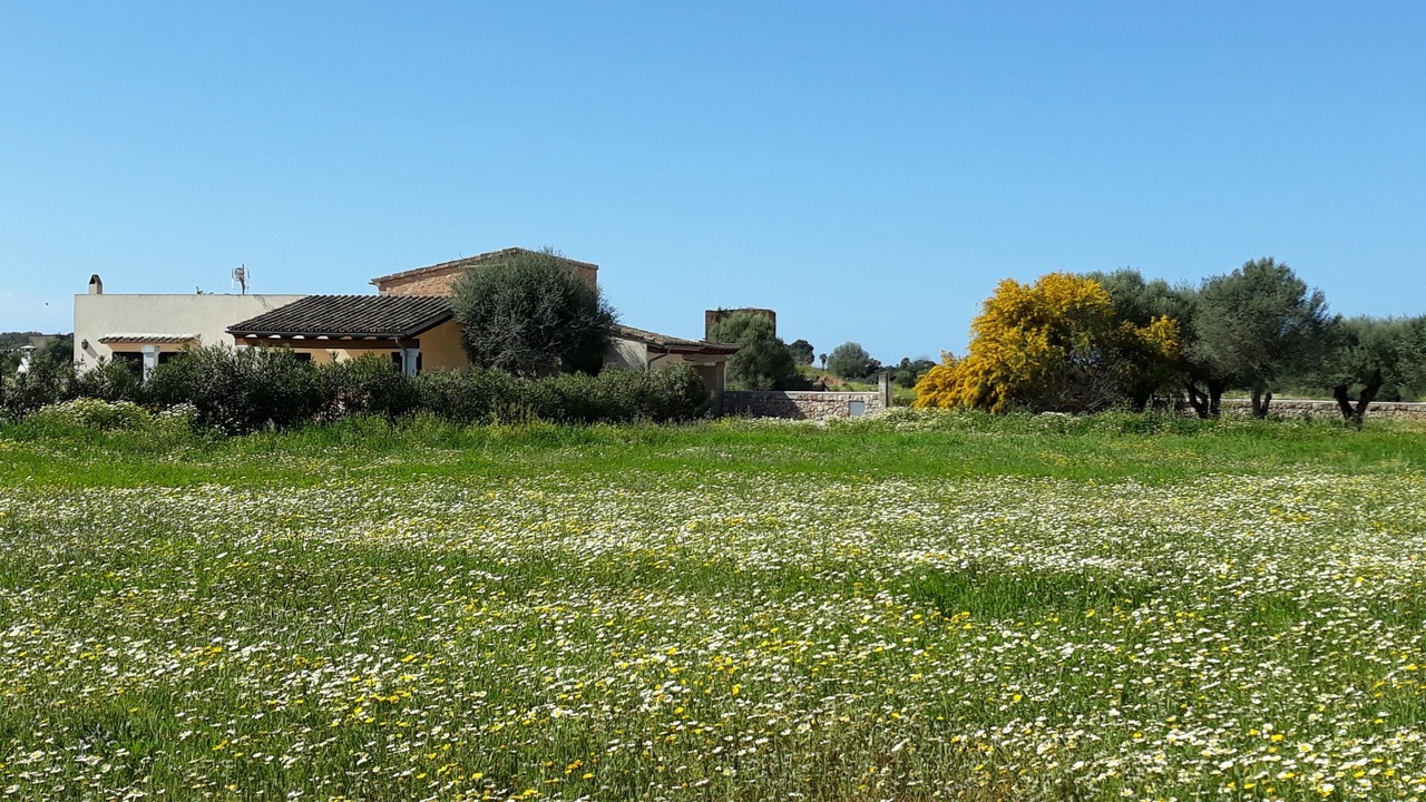 Photo of Outdoor in Campos
