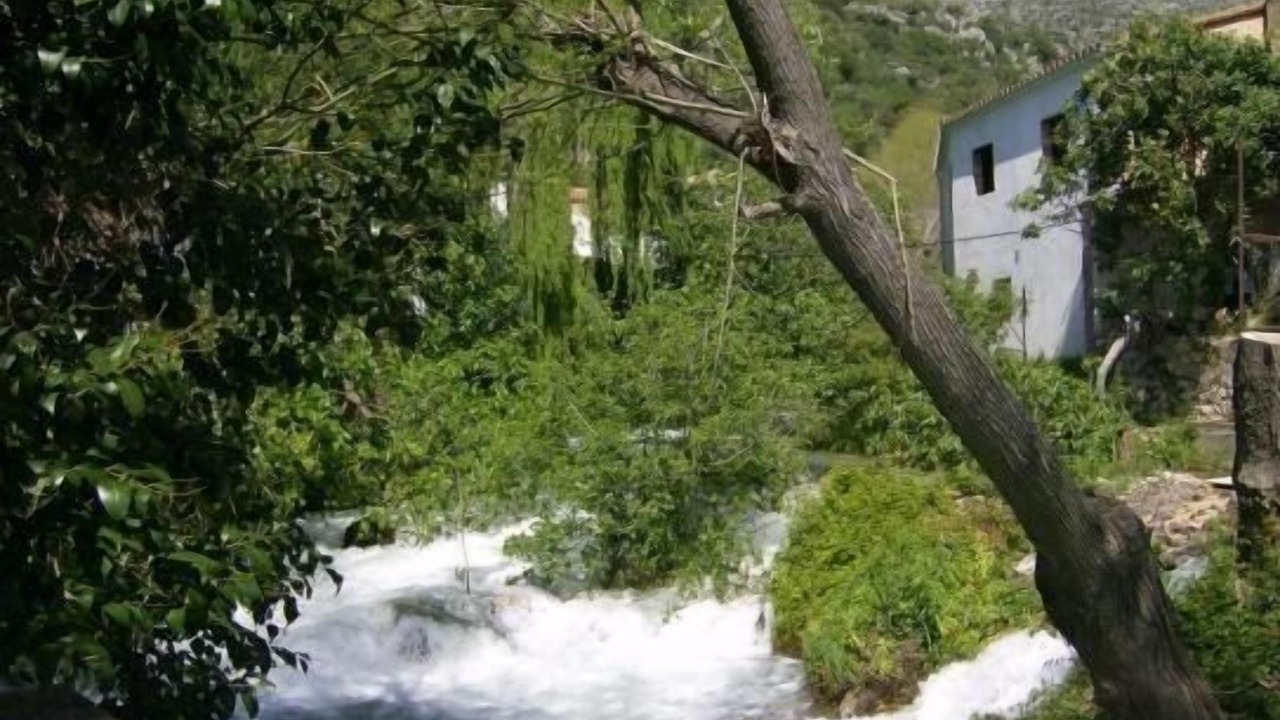 Photo of Outdoor in Benaojan