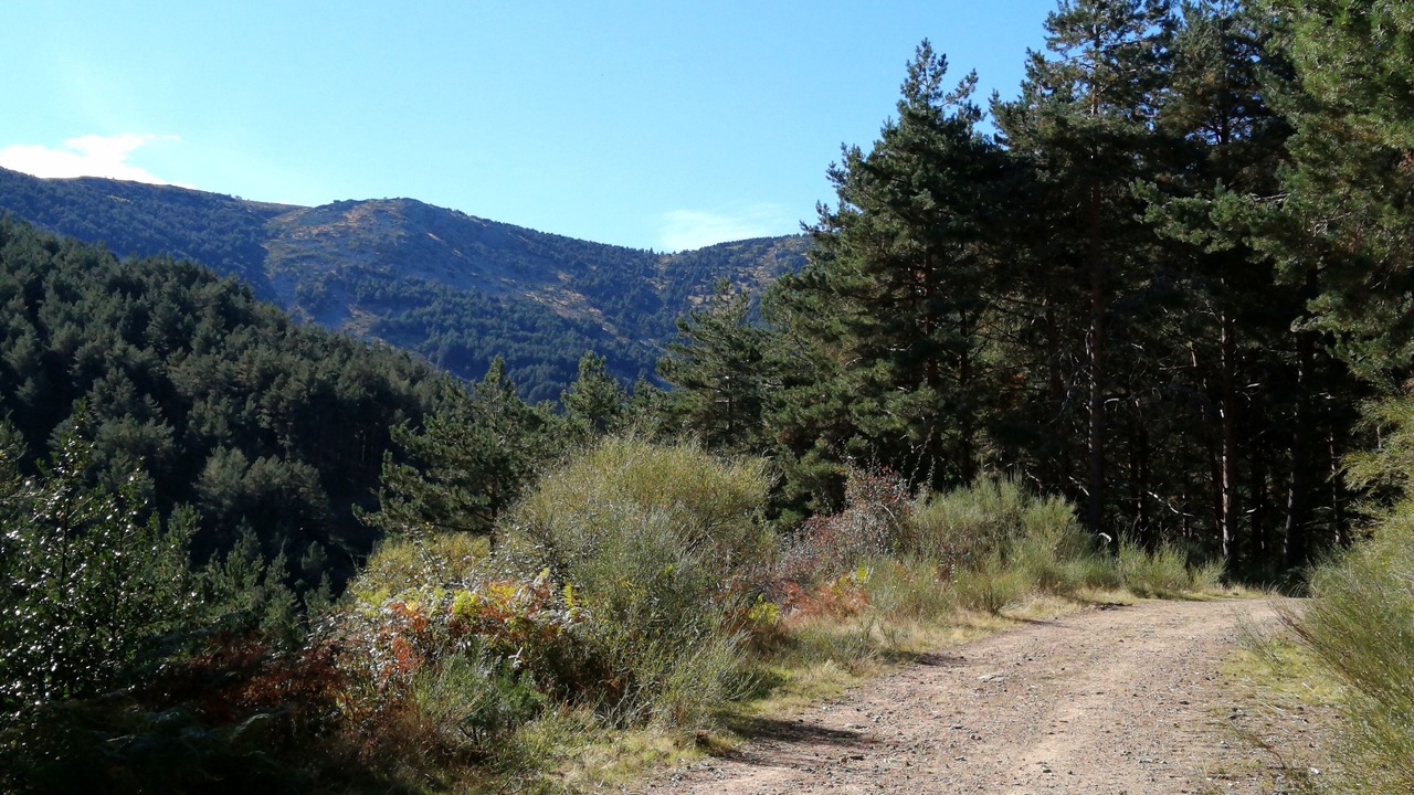 Photo of Outdoor in Torrecaballeros