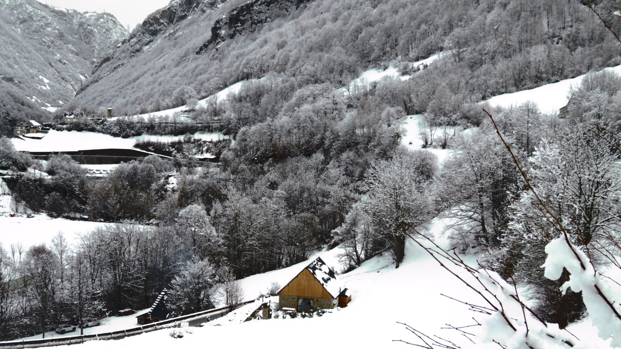 Photo of Others in Gedre