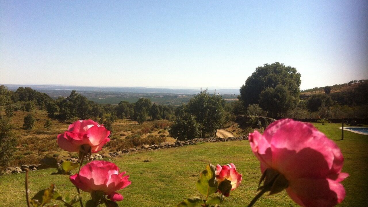 Photo of Outdoor in Acebo