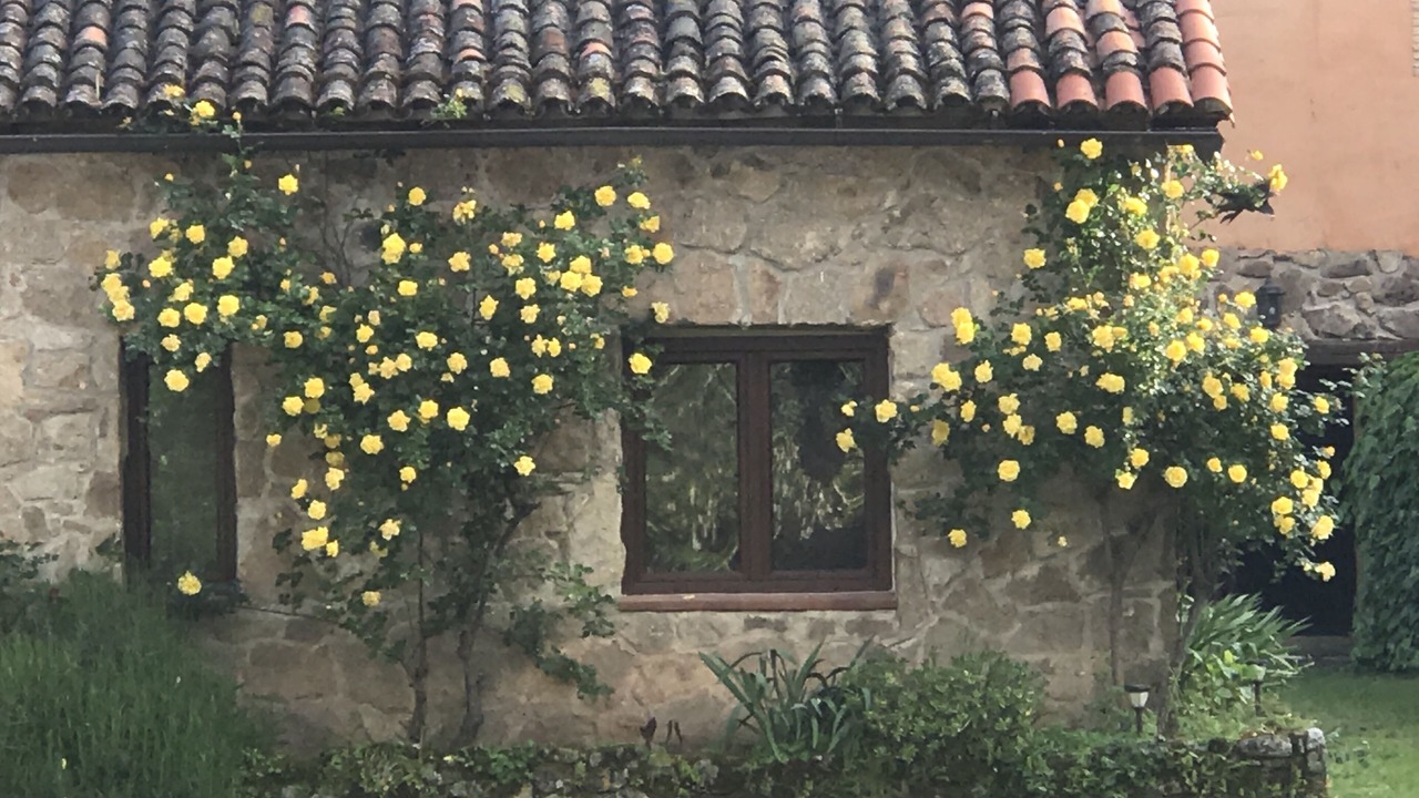 Photo of Outdoor in Acebo