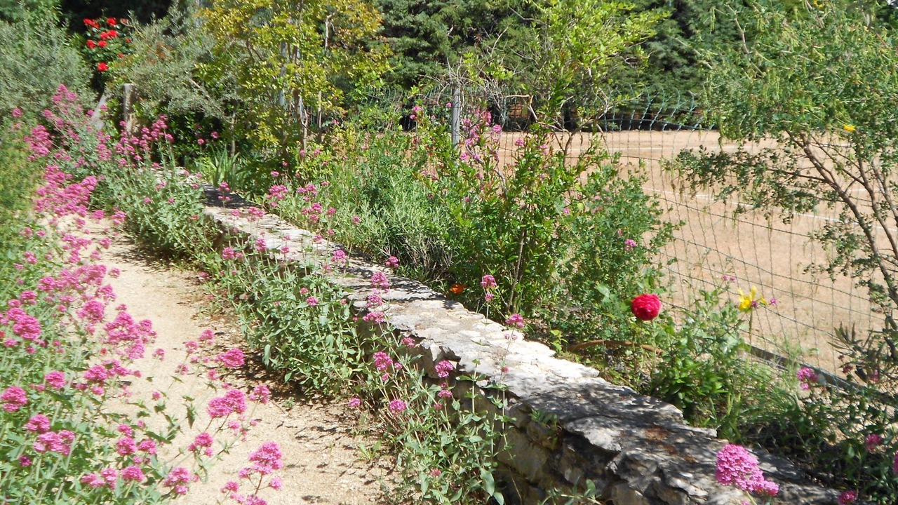 Photo of Outdoor in Croagnes