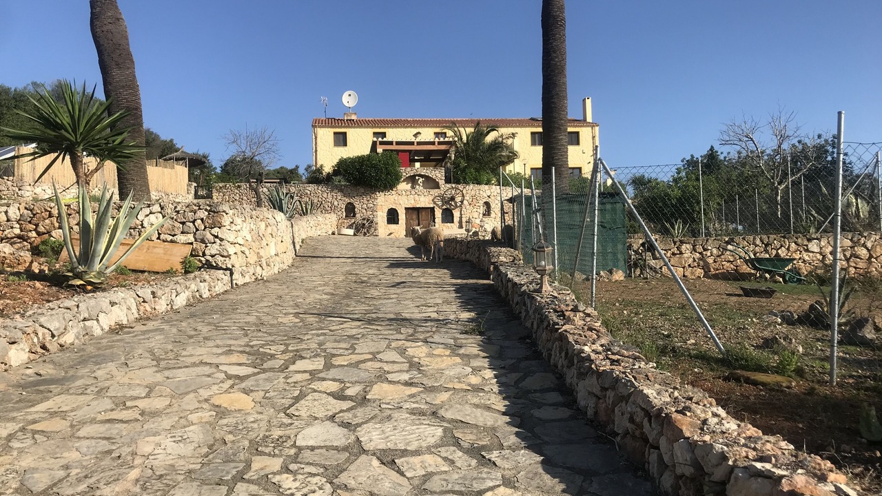 Photo of Outdoor in Sant Llorenc des Cardassar