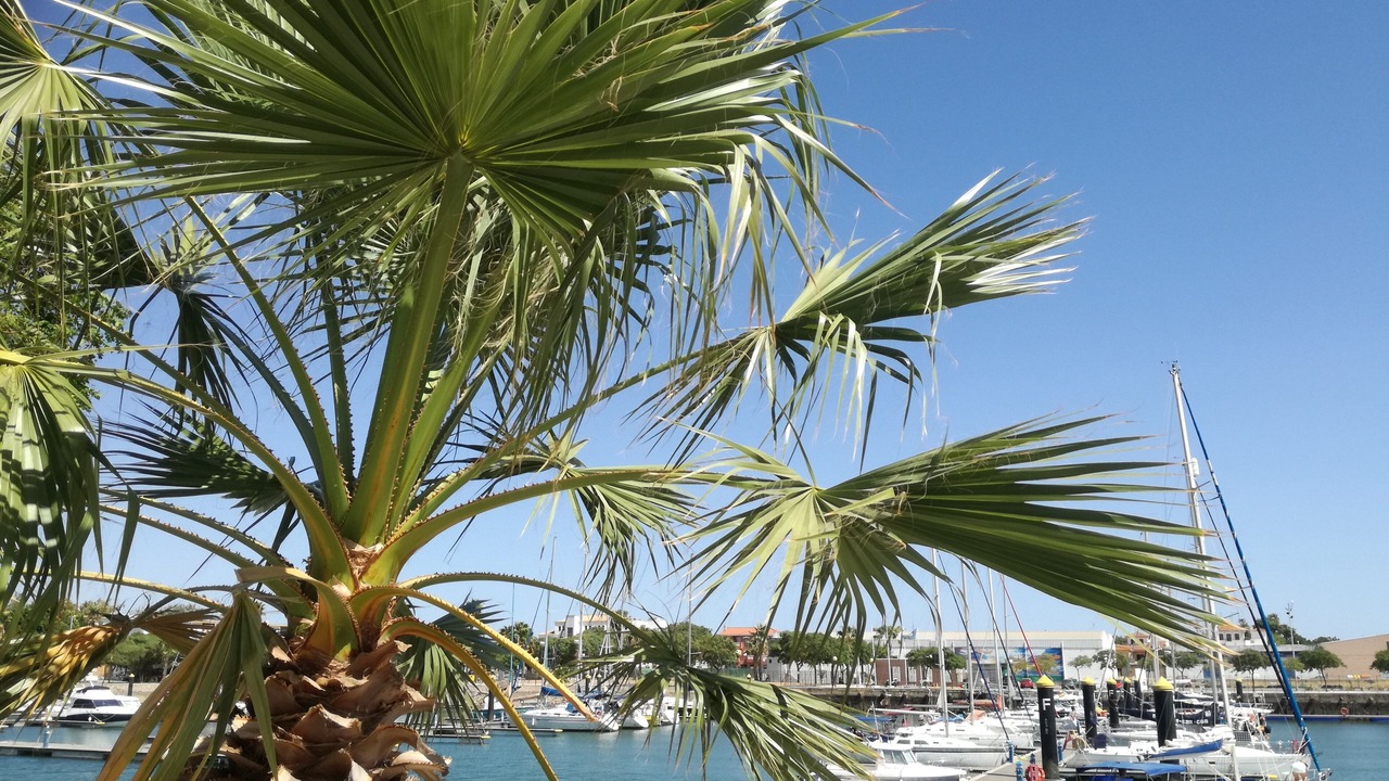 Photo of Others in Ayamonte