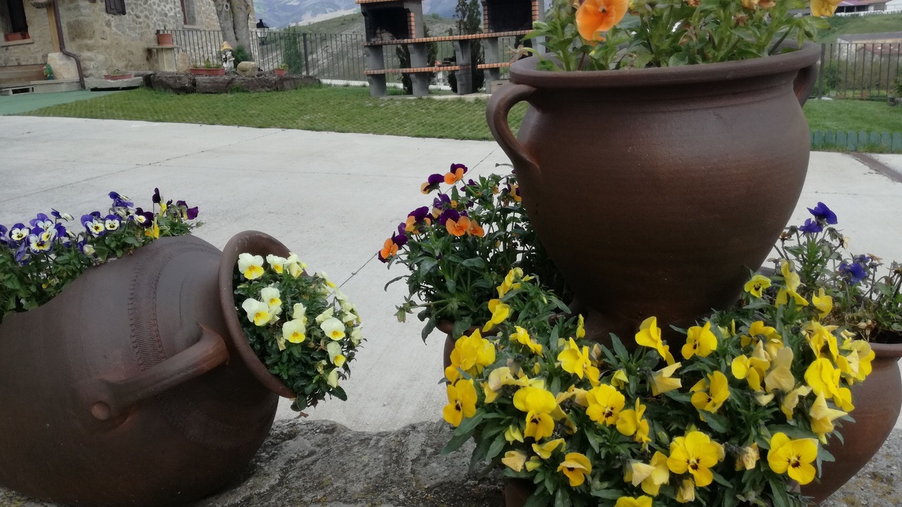Photo of Outdoor in Narvaja