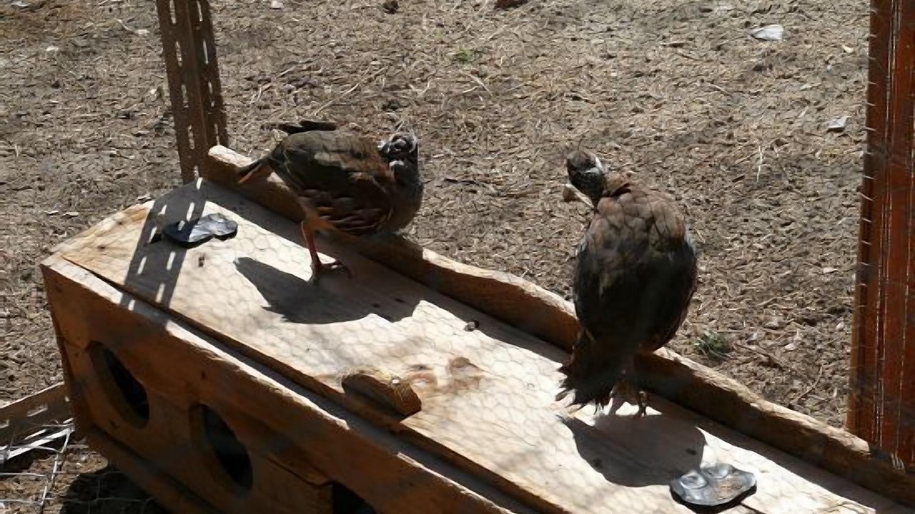 Photo of Outdoor in Vega de Santa Maria