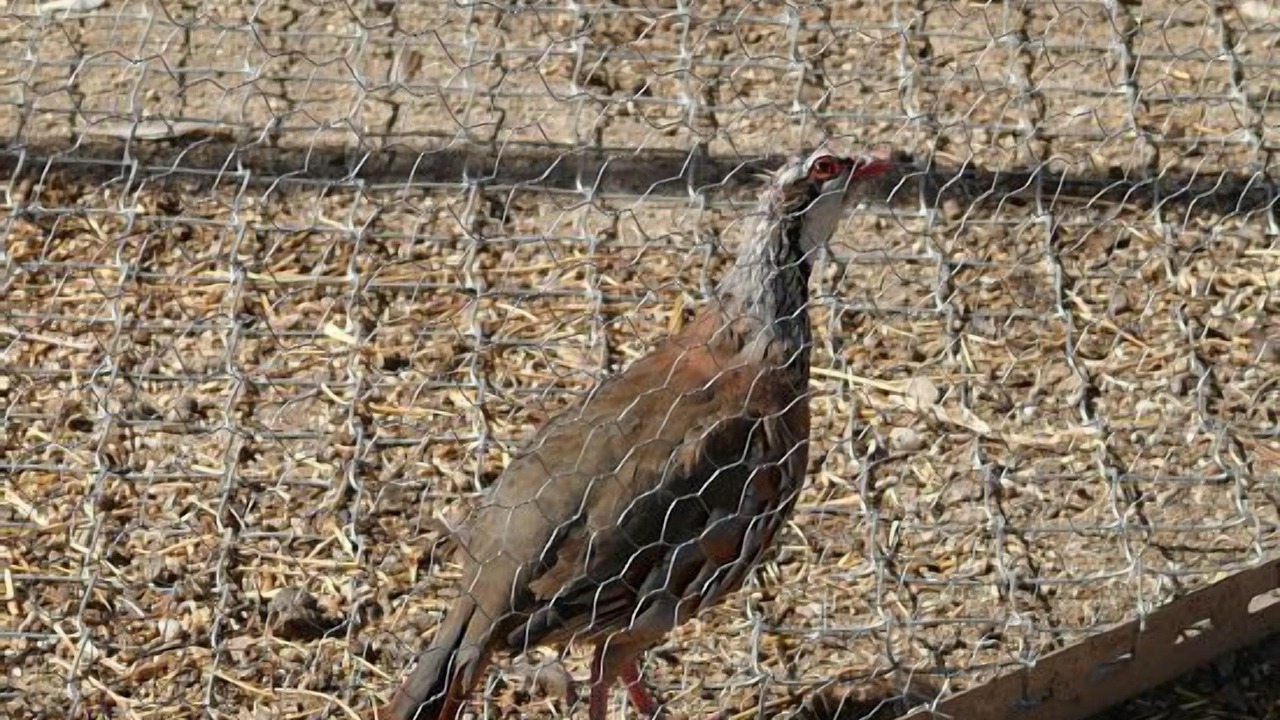Photo of Others in Vega de Santa Maria