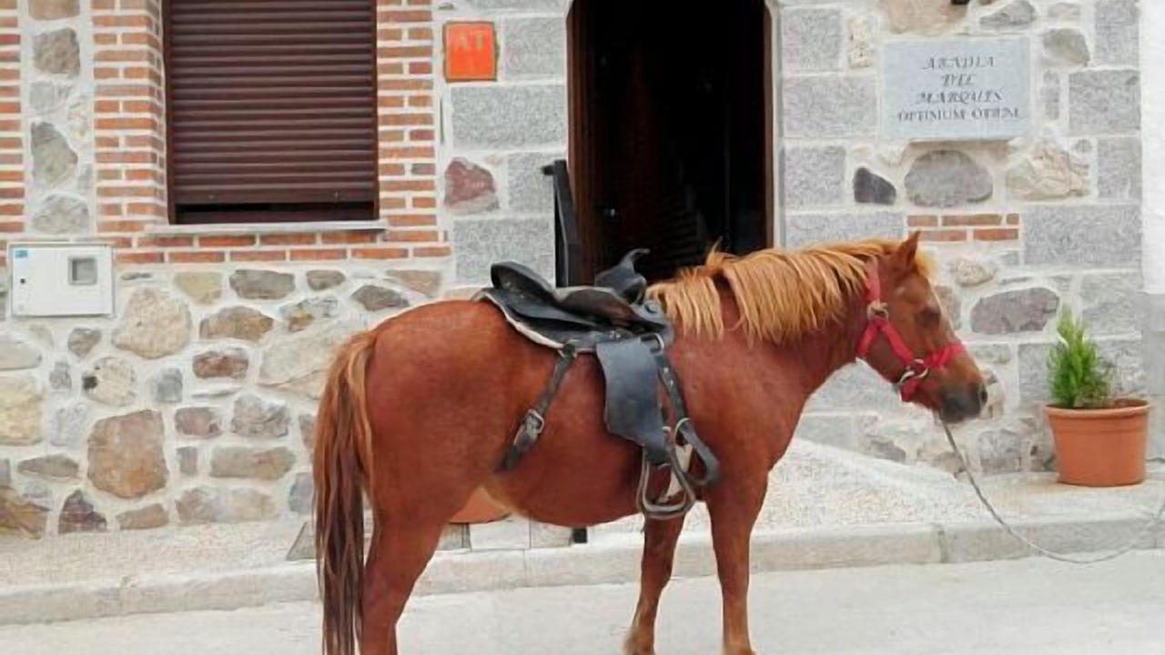 Photo of Outdoor in Vega de Santa Maria