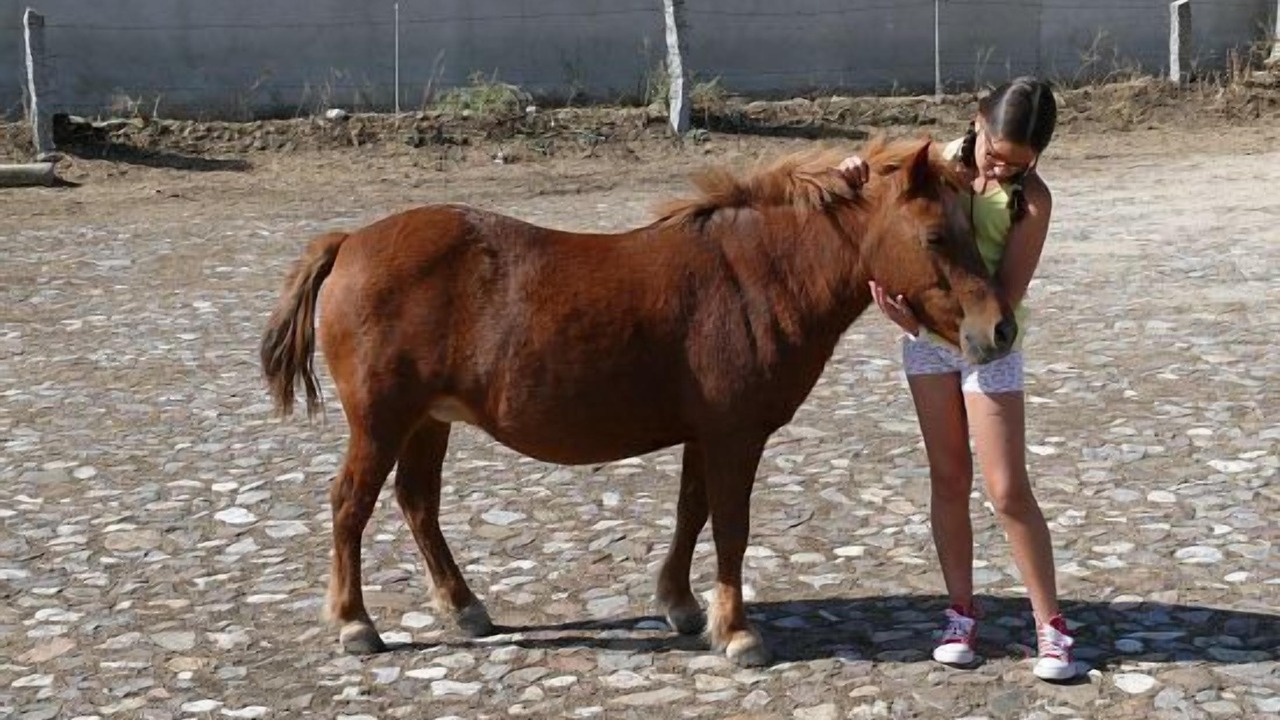 Photo of Others in Vega de Santa Maria