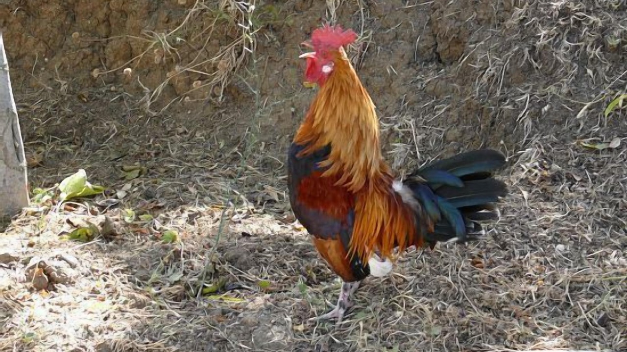 Photo of Outdoor in Vega de Santa Maria