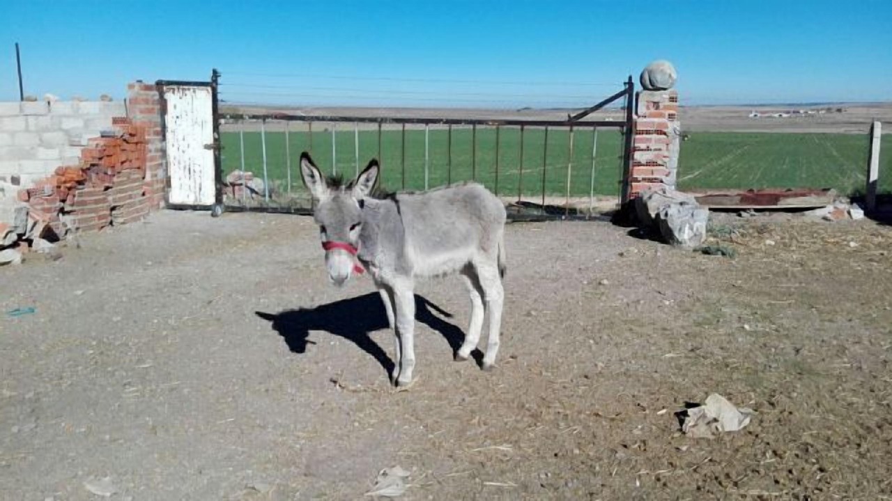 Photo of Others in Vega de Santa Maria