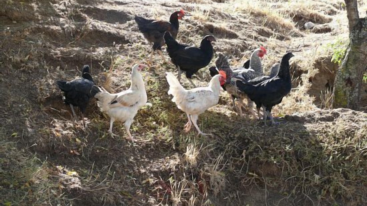 Photo of Outdoor in Vega de Santa Maria