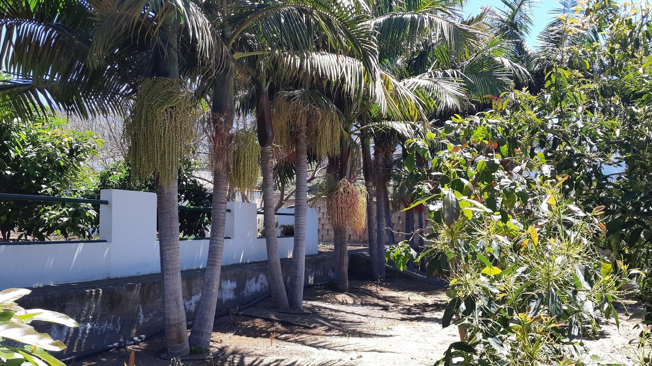 Photo of Outdoor in Las Arenas