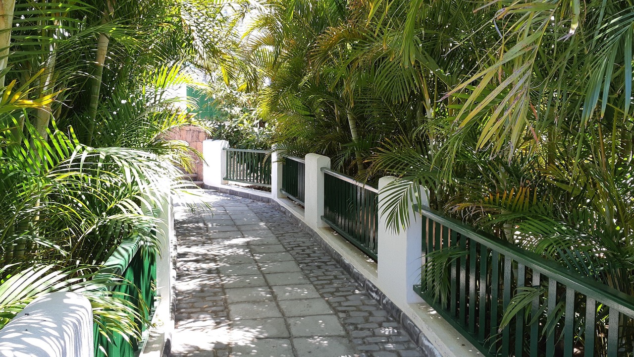 Photo of Outdoor in Las Arenas